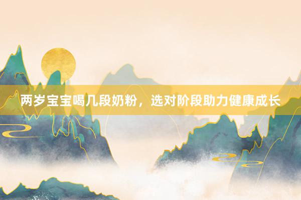 两岁宝宝喝几段奶粉，选对阶段助力健康成长