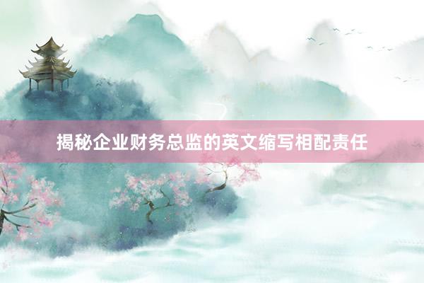 揭秘企业财务总监的英文缩写相配责任