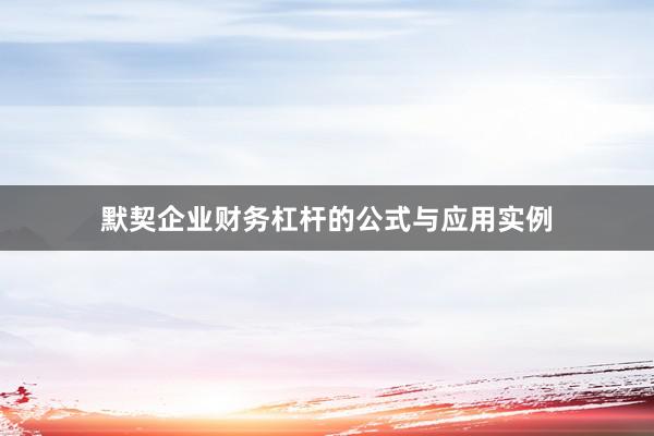 默契企业财务杠杆的公式与应用实例