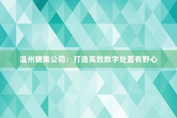 温州辘集公司：打造高效数字处置有野心