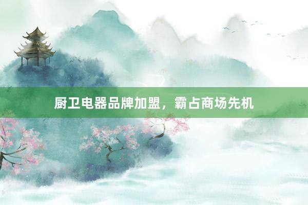 厨卫电器品牌加盟，霸占商场先机