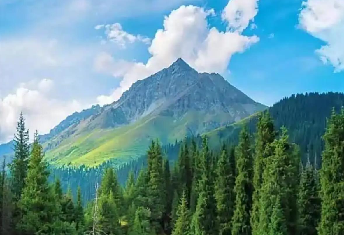 360截图20251025181258949.jpg 360截图20251025181258949.jpg